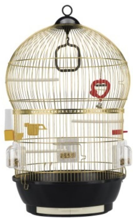 Gaiolas novas em loja