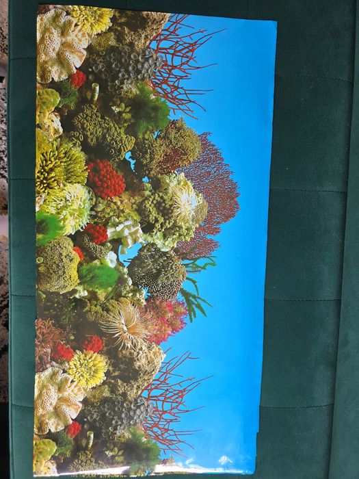 Akwarium panoramiczne z szafką 112l