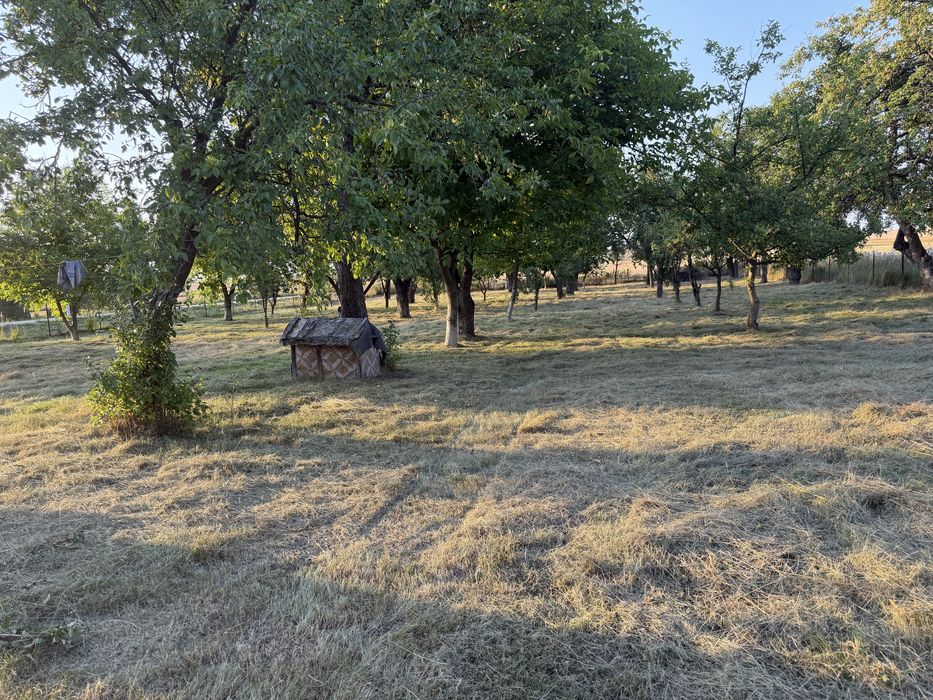Koszenie trawników,pielegnacja ogrodów,wywóz gruzu,wywóz gabarytów