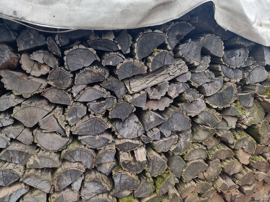 Akacja drzewo do kominka sezonowane 3lata