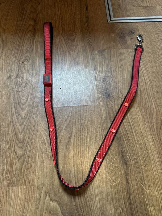 Smycz z diodami 120 cm