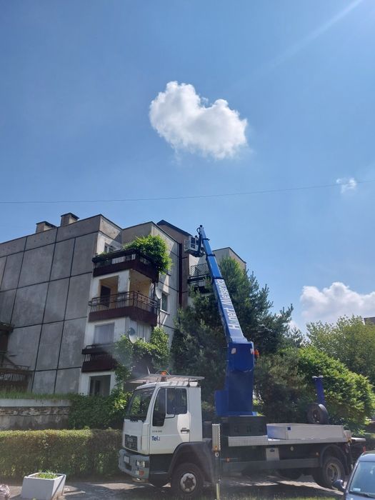 Zwyżka Podnośnik Koszowy Usługi