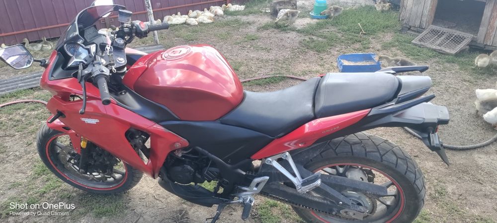 Продам геон тосса