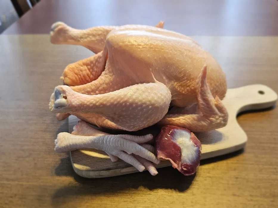 Kurczak BROJLER tuszka