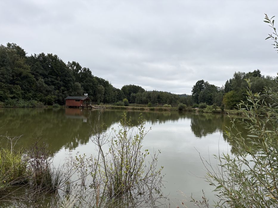 Działka budowlana  stawy agro turystyka  łowisko