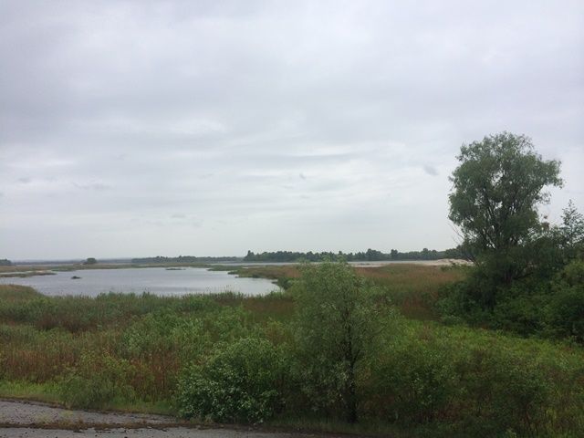 5,76 га біля Дніпра, с. Проців, Бориспільский р-н, без %