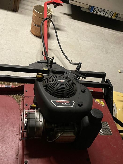 Corta Mato Briggs&Stratton