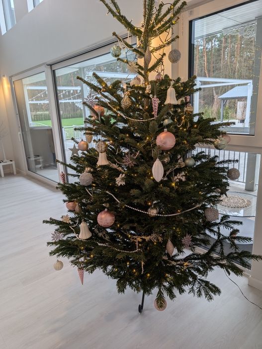 Dom w lesie na imprezy kawalerskie basen sauna 40 min W-wa