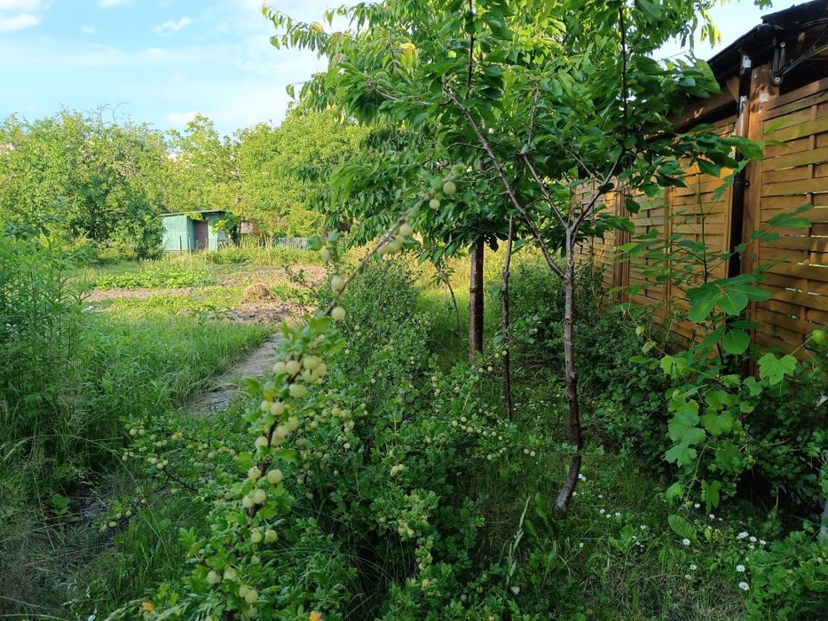 ROD Łączność Ziębicka Wrocław - Widok 6