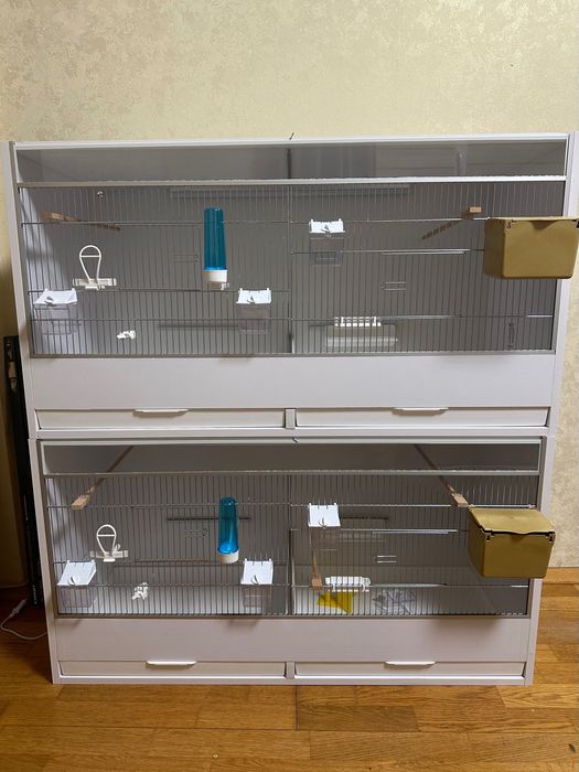 Клiтка для Амадин