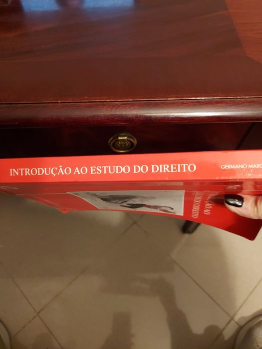 Introdução ao Estudo do Direito.