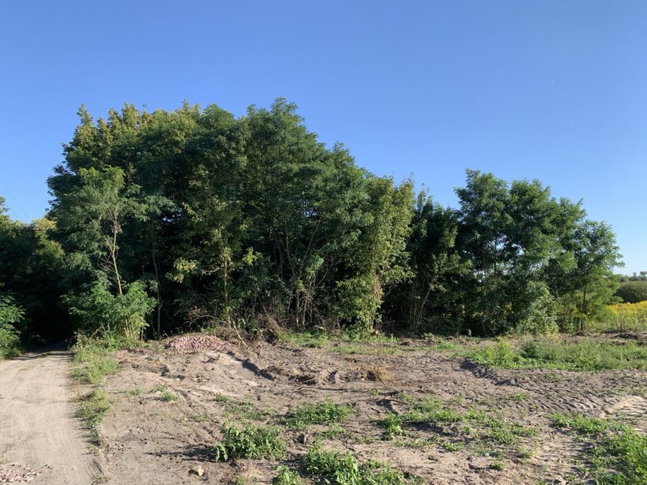 Мальовнича ділянка