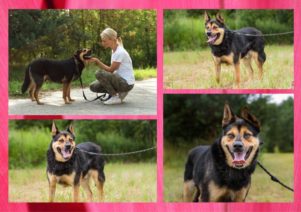 IVAN - marzy o nowym domu i rodzinie