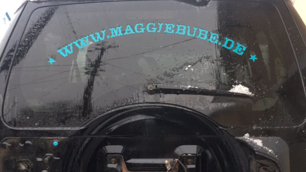 Ляда,п‘ята дверка,дверка багажник Мітсубісі паджеро вагона Mitsubishi