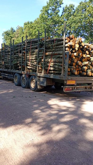 Продам дрова оптом/гуртом