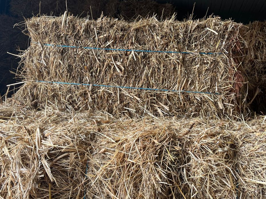 Vendo Fardos de feno