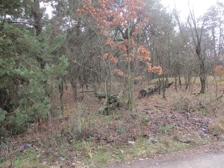 Продаж земельної ділянки 22,47 сот. Київська обл., с.Жукин  9100$