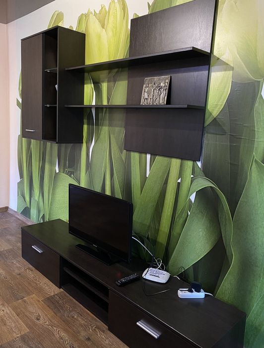 2-х ком.Ремонт,мебель,быт.техника.