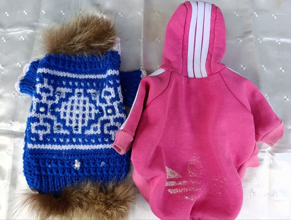 Одяг для маленьких порід собак