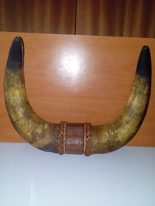 Peça decorativa cornos de touro