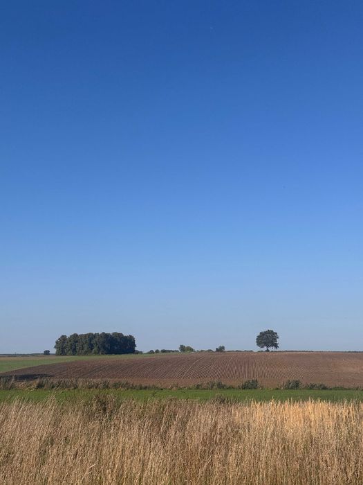 Działka 858 m2 z WZ pod dom - spokojna okolica, Kaźmierz