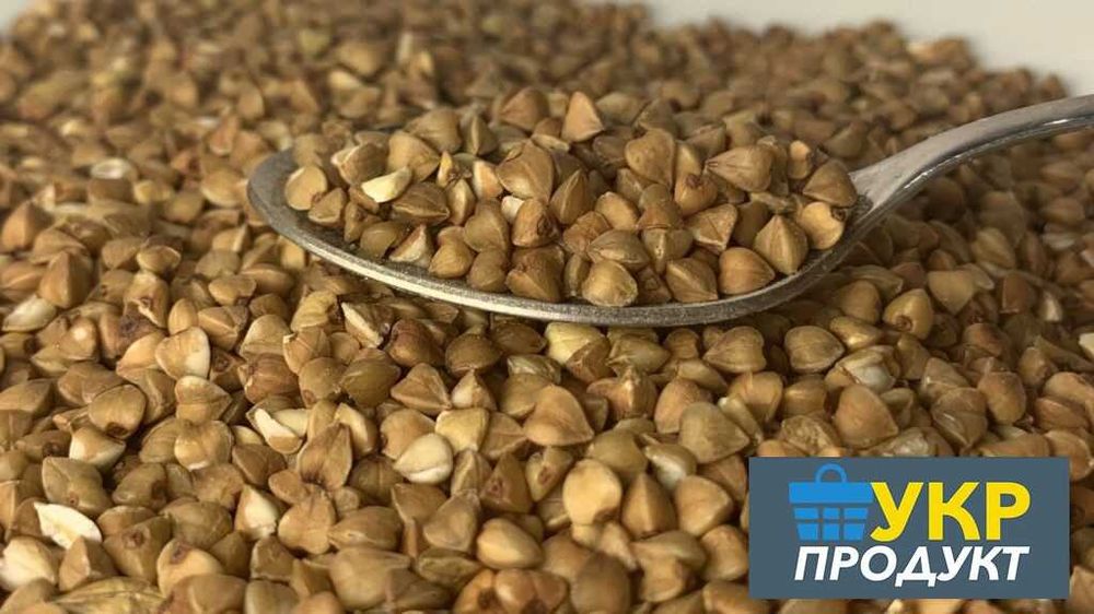 Гречневая/гречана крупа оптом