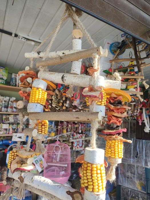 Еко іграшки для папуг