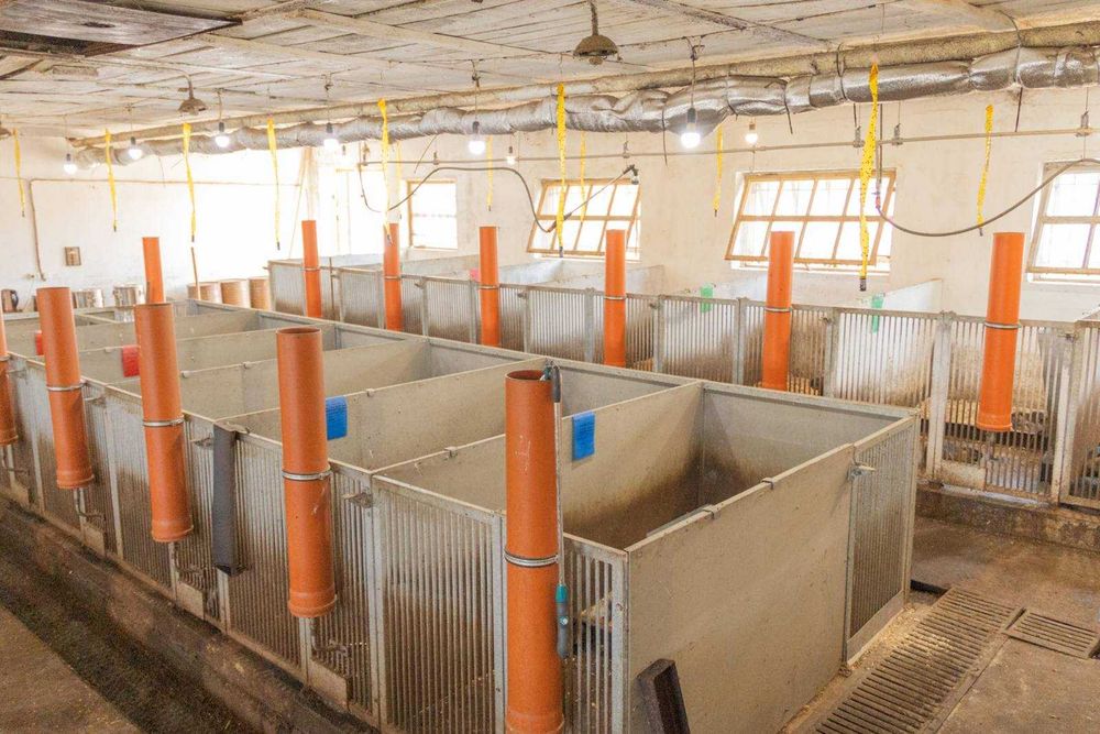 Продаж ферми з підсобними приміщеннями