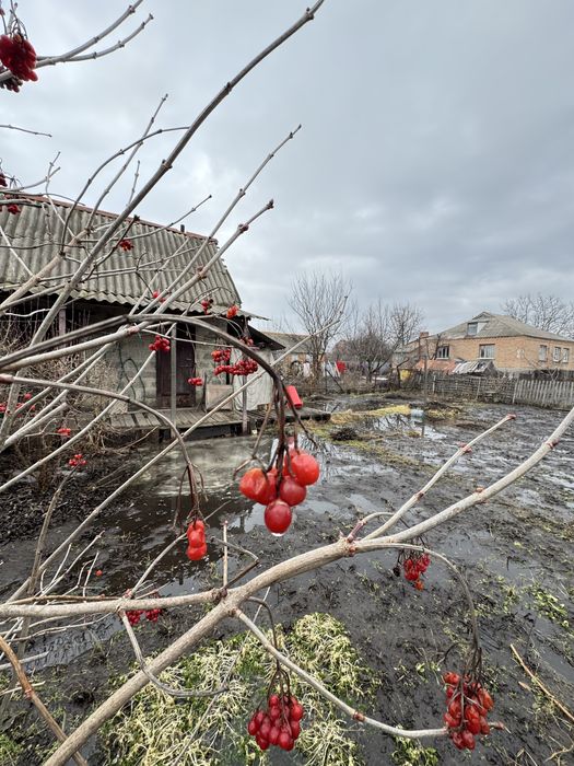 Продаж будинку в р-ні Старої Балашівки
