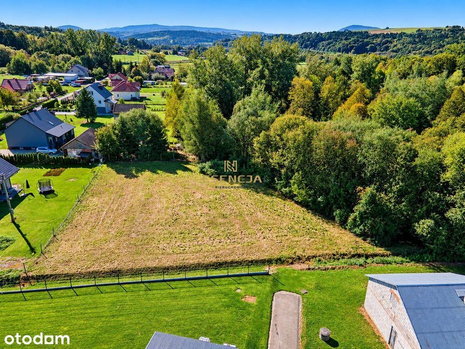 Działka budowlana 1683 m² | Wilczyska | gotowy pro - Widok 4