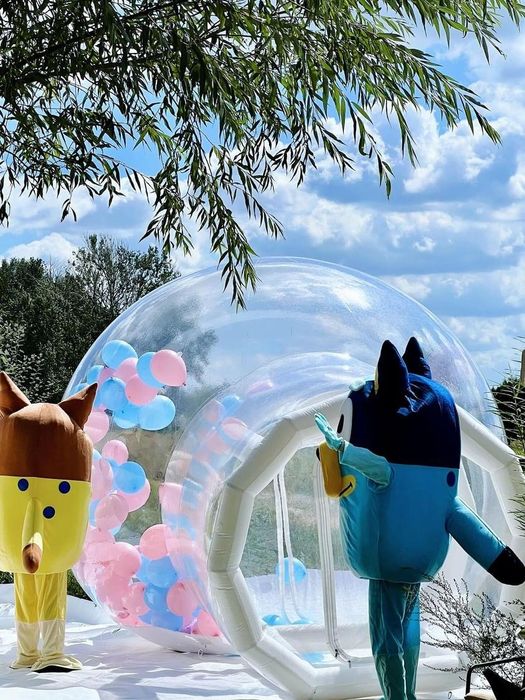 Bubble house Dmuchańce Biały dmuchaniec