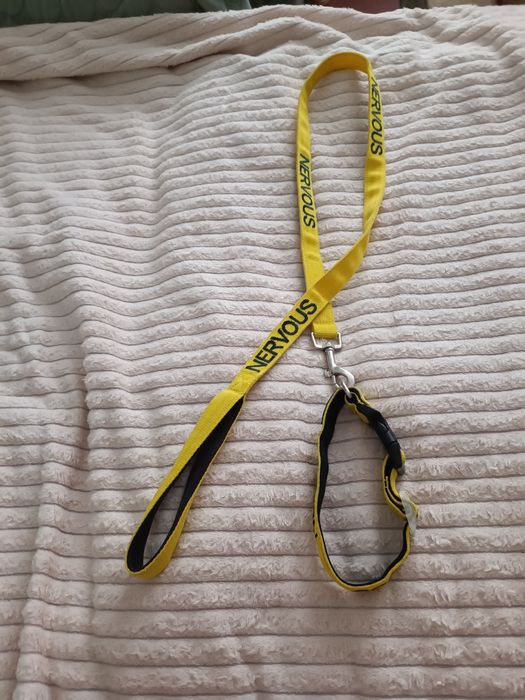 Проводок с ошейником DEXIL Nervous