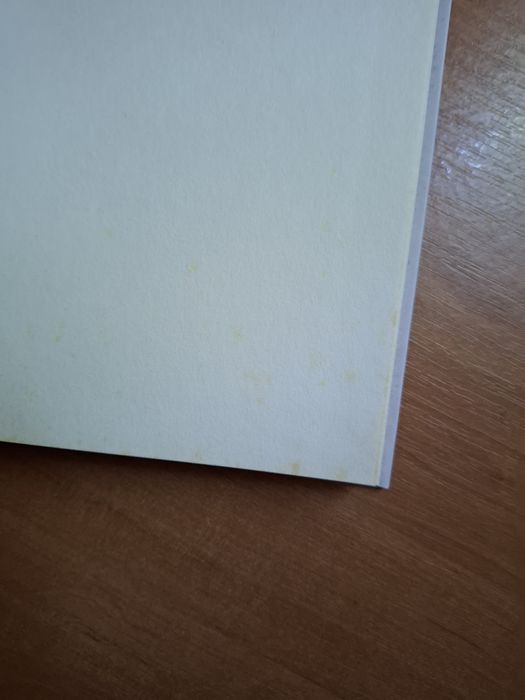 "Коса сплетіння долі" Летиція Коломбані