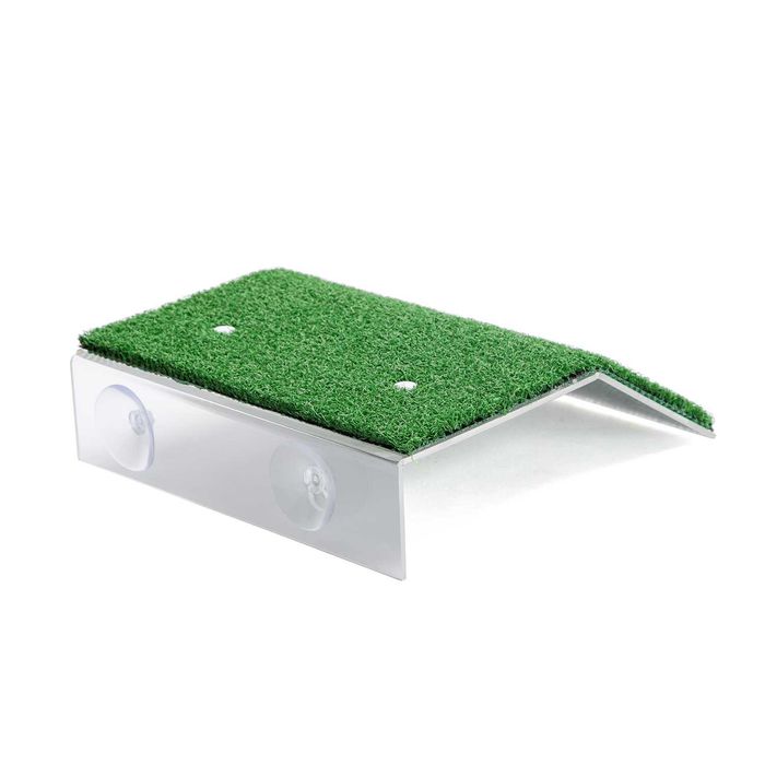 NOVO - Rampa de Tartarugas, ilha de tartarugueira