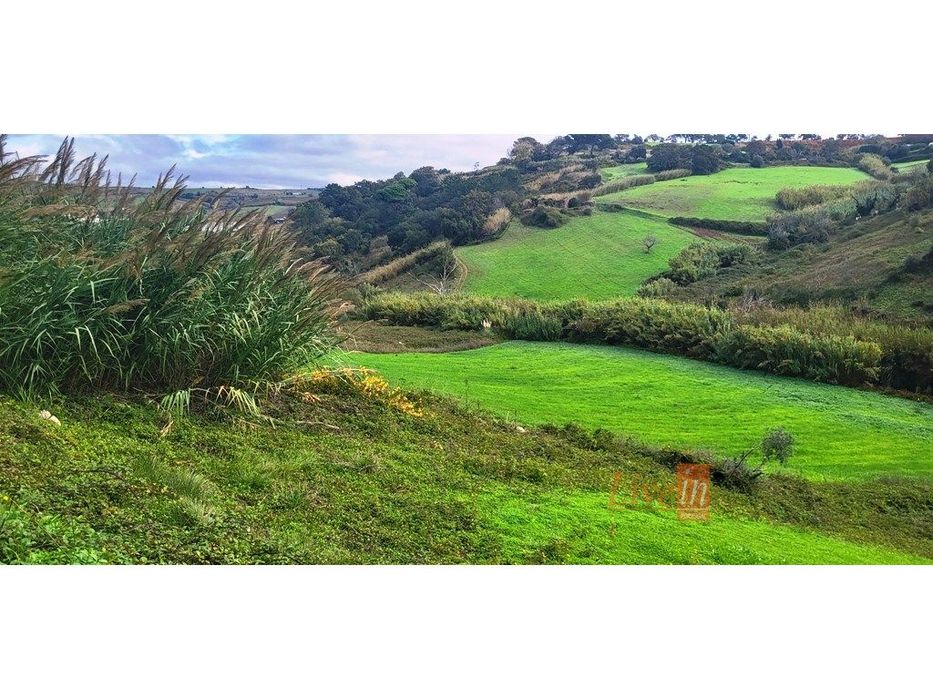 Terreno Rústico com 9.600 m2 em Vila Franca do Rosário — Enxara Do Bispo, Gradil E Vila Franca Do Rosário, Lisboa