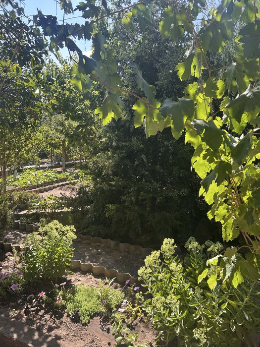 Прдам дачу в Воскресенском Николаевская обл.свт «Солнечная поляна 2»