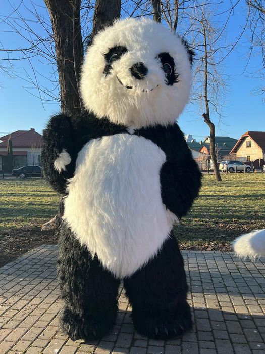 Білий ведмідь,привітання для дітей.Стрептизерша длячоловіків. Аніматор