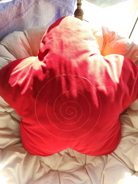 Colchas e almofada preto e vermelho