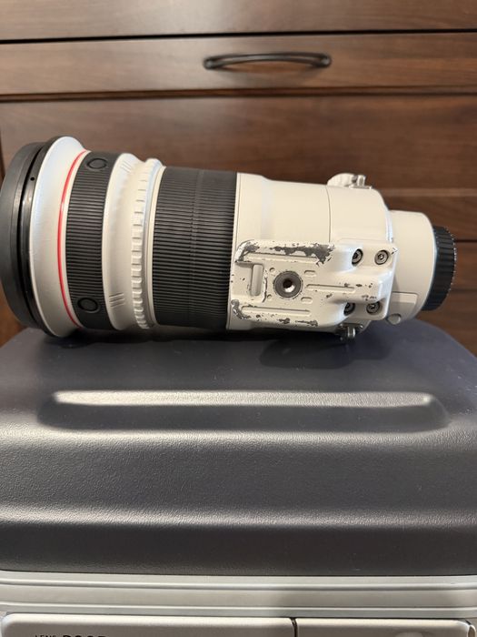 Canon EF 300mm F2.8 IS mk II