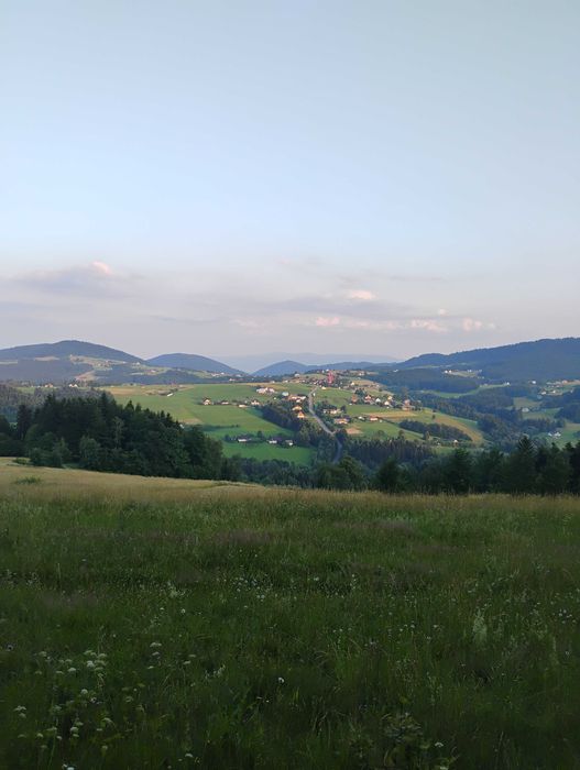 pokoje do wynajęcia