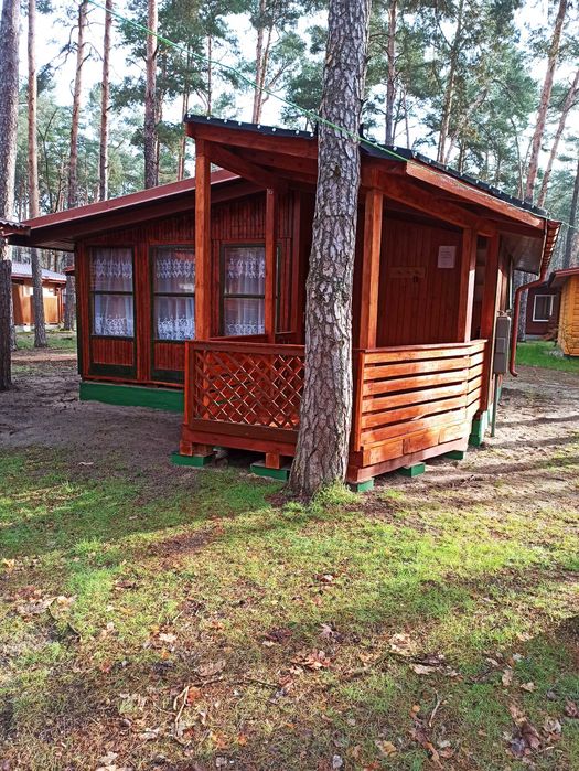 Sielpia Sielpi Domek Domki Ow  4,6,9 os centrum jezioro las 2   wczasy