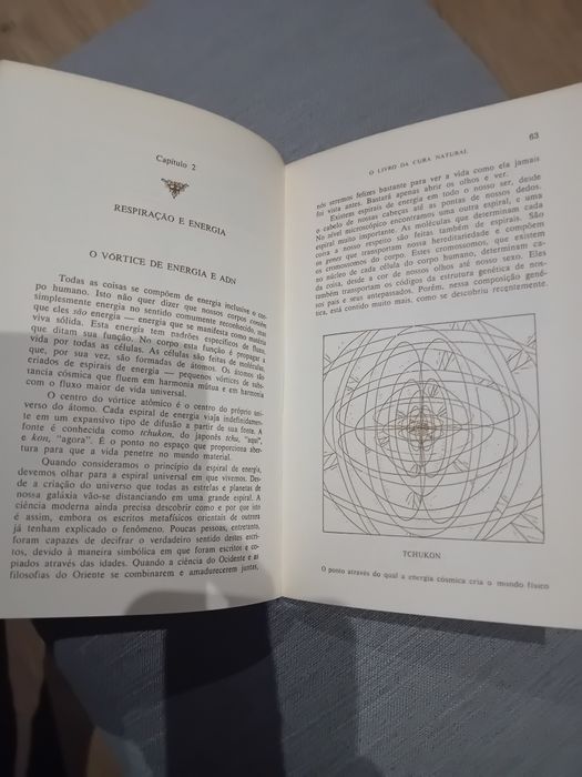 O Livro da Cura Natural - Greg Brodsky