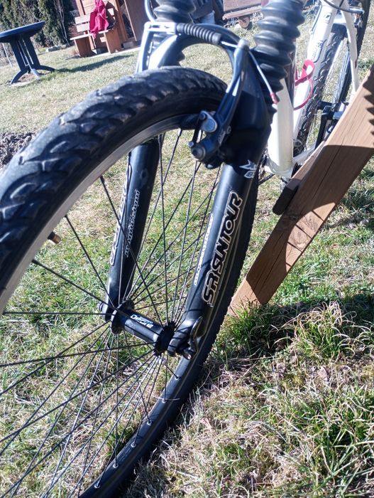 Rower Biria Hydroform koła 26 cali