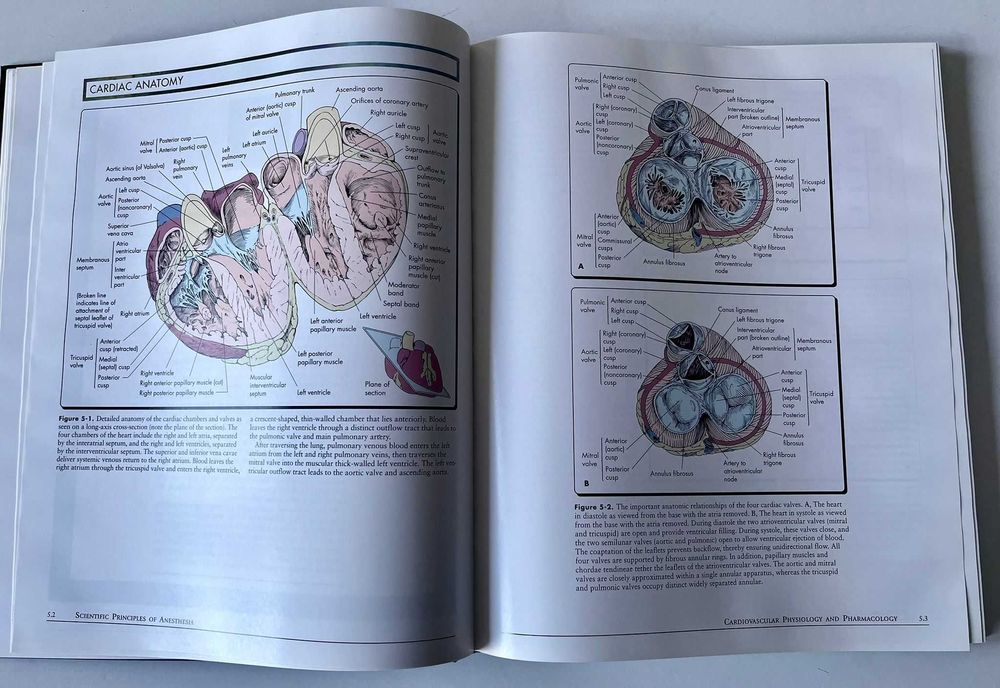 Atlas of anesthesia Volume II