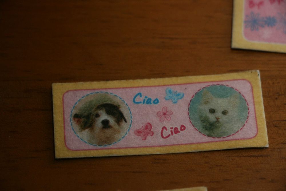 Autocolantes “Meus animais ainda mais divertidos”