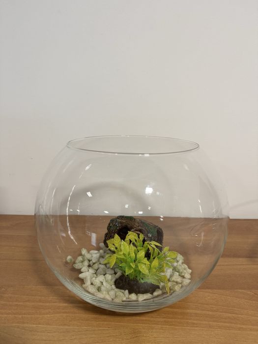 Aquario redondo + acessórios