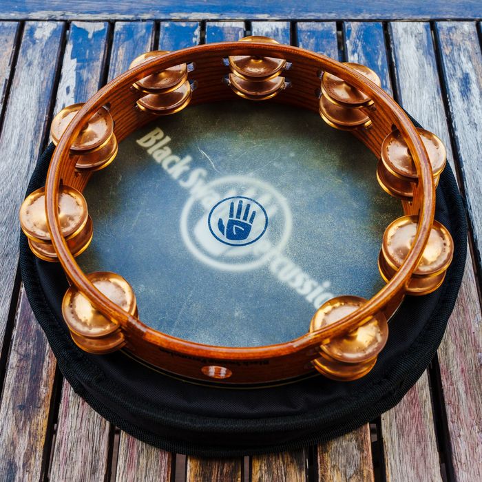 Tamburyn Black Swamp Percussion TD2 Phosphor Bronze 10" – stan bardzo dobry + case Faktura VAT 23%