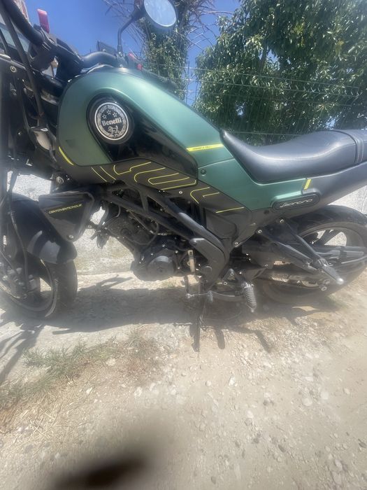 Benelli leoncino