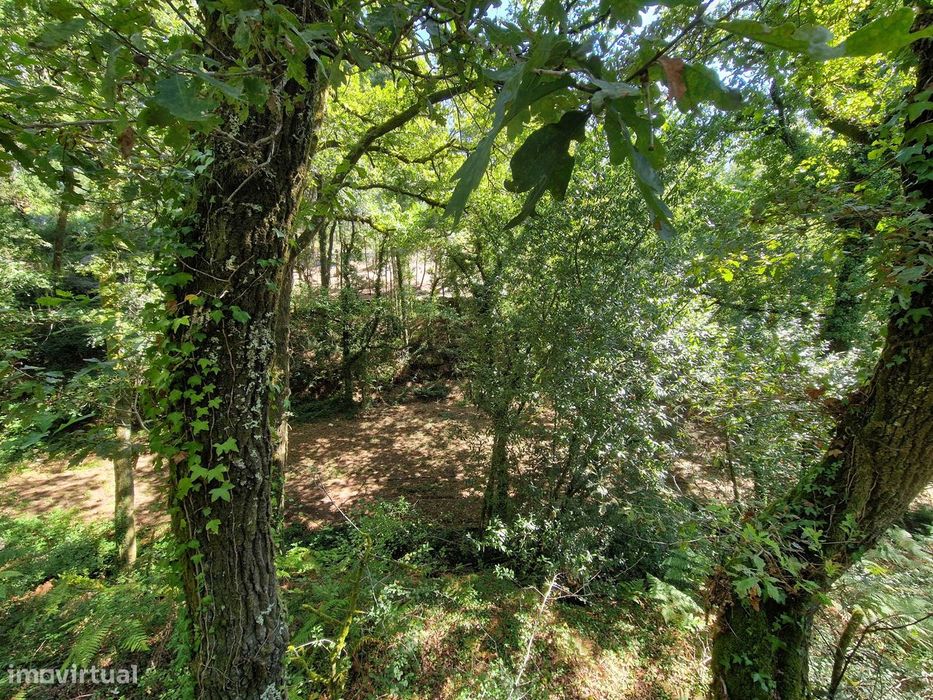 Terreno  Venda em Mosteiro,Vieira do Minho