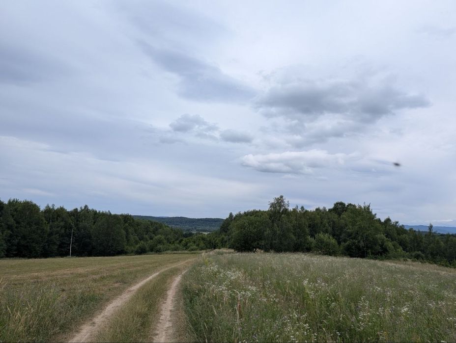 Продаж ділянки під будівництво в горах (Косівський р-н)